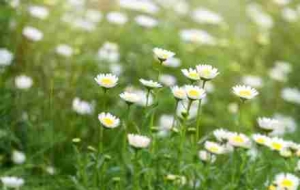 �����@һ�죡���ֱ�_25��