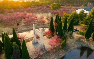 ף��÷�����츰һ������ʢ��