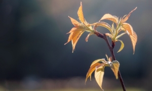 29��K9������ꎚ�����ϡ��^ɽ܇��