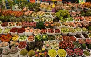 ���������ϻ��У��˳�ӿ�ӣ�����̼t�����