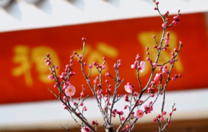 ����÷���Σ���ɫ�箋���L��o�޺�