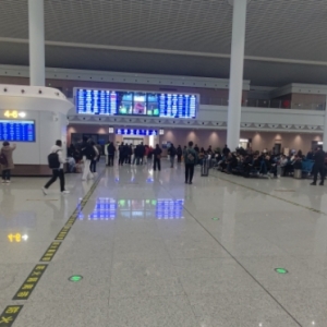 ��ȥ�˲�֪��С�ǵĺã���ꎸ��Fվ�l���ã���������