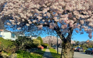 �S�ģ�����N��࣡ÿ�ö���M�����C�c����