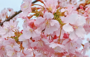 �e�^��һ�������������ʢ�_