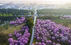 ��ꎴ���Citywalk���@�l��·����