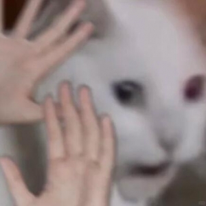 �F(xi��n)��·߅�[�����Ǟ��˰l(f��)ؔ������Ҋ10�Kֱ�Ӱ��������ˣ�����Ҳ�������K