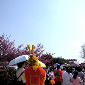 ȥ��ɽ��ļ��L��С�����У��Ђ��O�����С����Ӱ������ֱ��׌��ߴa���X