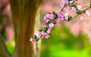 ��Ҫ�ڴ����һ�˽�ꎰ���