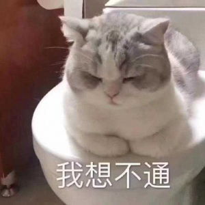 ͬ�W�ە�Ҫȥô���]ɶ���鲻��ȥ����������������ʹ�ࡢ��ª���3��