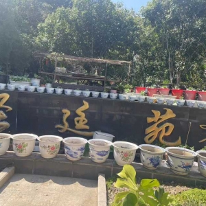 ��Ó�����飡���¡�܇�졢���϶��ǾG��������ɢ�����e�ĵط��F�ڳ����@��