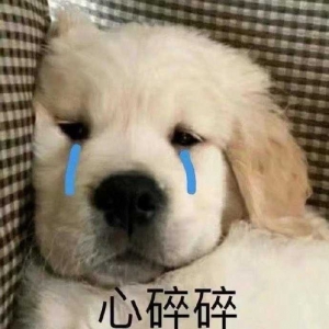 ���ۺ�l�F�Լ�����������T�����ǂ��˵��¸�̫�����ˣ������ܰ�