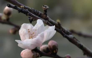 �������һ��`�ŵļ��������������ˆ᣿