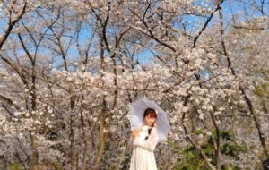 ̤���p�������ⰻȻ���ѻ��������́�