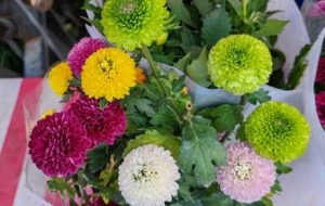 �K����ѩ�����棺�s�����������̤���p��