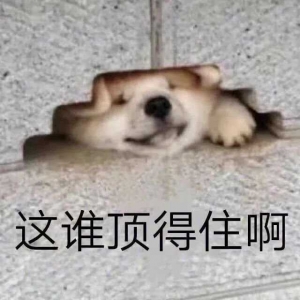 Ѿ�^��ͬ�W(xu��)�M(j��n)ȥ���c(di��n)���ˣ����ϳ�r(sh��)�g���]�У����c(di��n)��ʳ�������˛]���I���I��