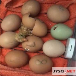 ��(j��ng)�^20��ĵȴ���С�u�K�����ڴ��г�������