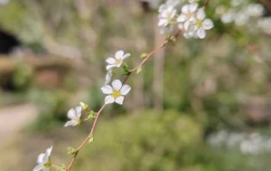 ���@�����ڽ��ψ@����ęѻ��ɾ�