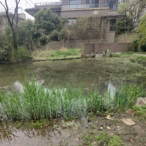 Ԓ�����f���ψD��ꎡ�����С�^(q��)�����L�����H���@