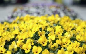 ���_���ˣ�����@5�l��ɫ��·