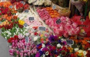 ��������ۣ��f�߾��ߵĞt������