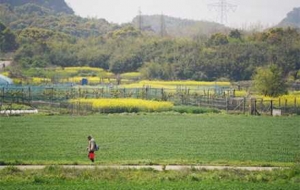 �Ŀ�����Ͳ˻��`�ţ���ɫ����䁝M�l�g��Ұ