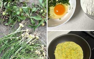 һ�ڴ��죡�����g���^����ζ�������㇊���r����