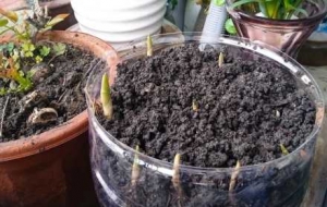 �Ѵ����b�M�����ؓ���պÕr��