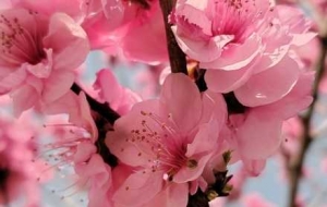 ����ɫ����^�p�����Ҽt���G ���ⰻȻ