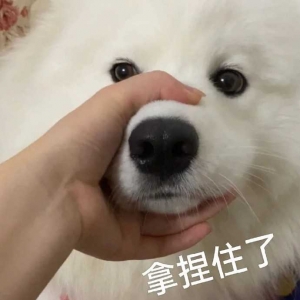 ����ȼ��̫�Ե����W(w��ng)ُ���z�z�鲻�ϸ�Ҫͣ������ܺ��Լ���ȼ���|(zh��)����Ӌ���ͺ�������ɶ ...