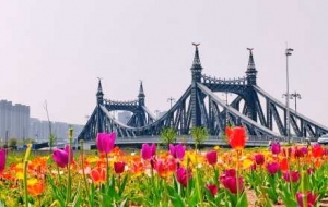 ���������`�ţ��k������ͤͤ����