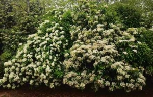 �A�������ܣ����@��߅�ֳ��F��