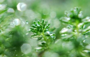 ������ҹ?ji��)��뽭ꎣ����ڱ��? class=