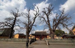 �򿨏��Ҹ��p���£������Ў��ˎ׷��C��