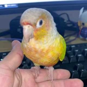 ���һ������ٺ������ӣ�����ӛ�ךq�ˣ��F�����c���H�ˣ�Ƣ��߀����