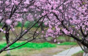 �S�ģ�ף��÷����s�������e�^��Ҫ��һ��