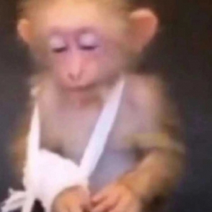 ������ֹ����Ҳ���зݷ����Ĺ�������܇�_���з�ס�����籣���оƺȾͺ���