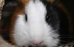 ����ҵ������i�����շݿɐ�Ո(q��ng)����