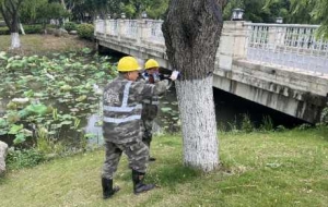 ���m(x��)��5�£���ꎲ�����������