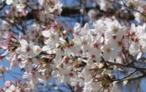 ���e�R(sh��)�Ö|�L(f��ng)�棡�f��ǧ�t���Ǵ�