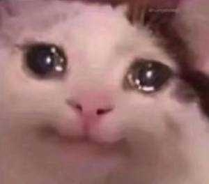 ���Ͽ�Ҋһ���ЌW���֠��֣����ɵ������ЌW�r�����Լ���Ҳ�ǿ����˼��֠���