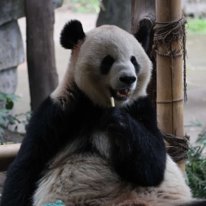 �������o�a����@������