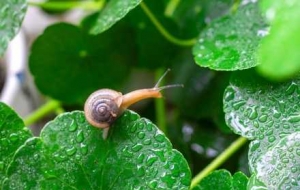 ��س��m���ͣ������ע�Ᵽů