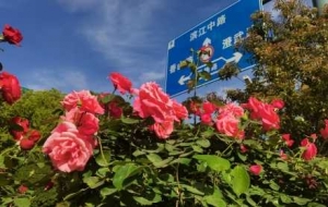 ��ĩ�I���ؾ����@��䣡����֮�����ǻ���������