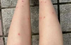 ����ע�⣡�ٴ��@�N�·����T