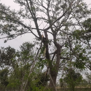 �����ù�Ļ������֓���ס�ˏı�