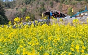 ʯ̶�Ŵ��L�⌍�ģ�̎̎Ԋ�鮋��