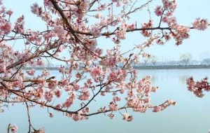 �x�^��p�����s������������v��Ծ�