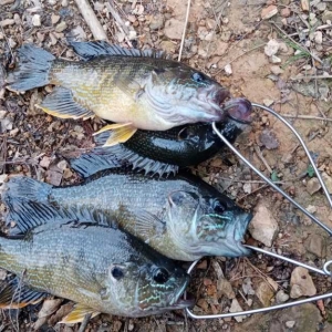 ��~�����������˺��h��ˎחl