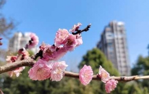 ���T�ڵĴ��������֙C������˲�g