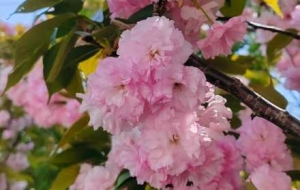 ���^̎̎���F�\�أ���������׌���Ļ�ŭ��